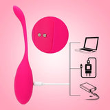 New Arrival Remoter Control Vibrator