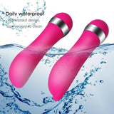 New Arrival Realistic Dildo Bullet Vibrator